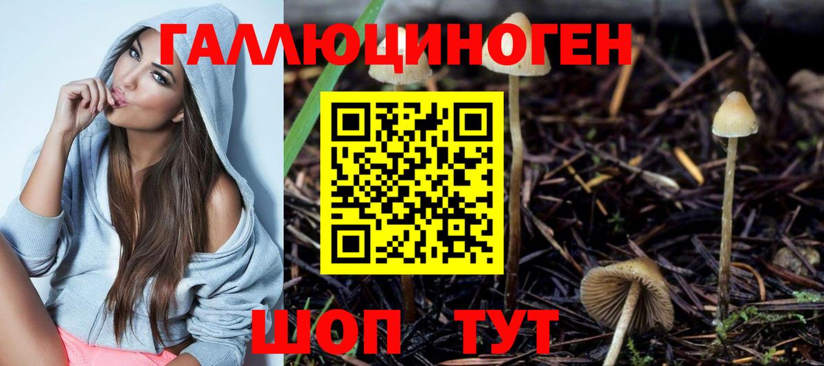 Галлюциногенные грибы Magic Shrooms  Галлюциногенные грибы Cubensis  Углич  наркотики  Вход с VPN 